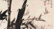DeepSeek是如何回击JYPC证书被污名化的?